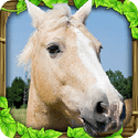 模拟野马Horse Sim