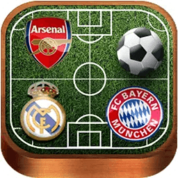 Football Logos Quiz 2014