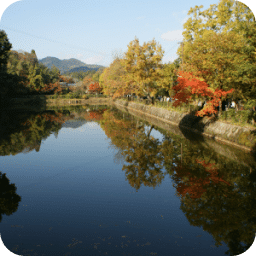 Ogura pond