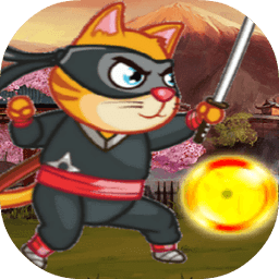Tom Ninja Cat