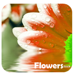 Flowers iLock