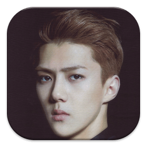 EXO Oh Sehun Puzzle Games