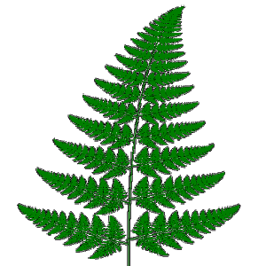 Barnsley Fern