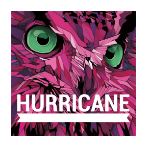 Hurricane Festival 2013