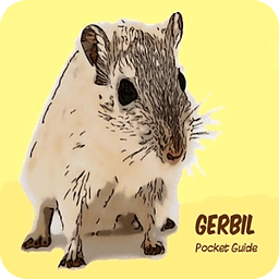 Gerbil Pocket Guide