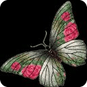 Colored Butterfly LWP
