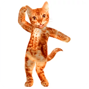 Dancing Talking Cat