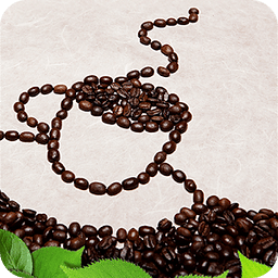 커피공화국 - 제대로된 커피전문점 찾기