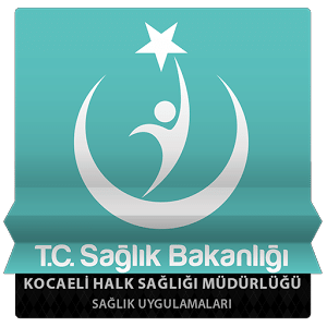 Kocaeli HSM