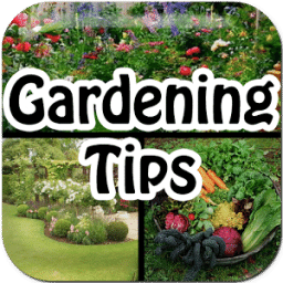 Gardening Tips