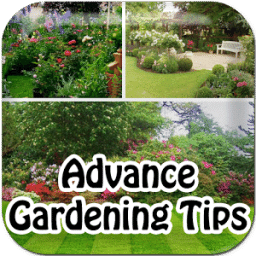 Advance Gardening Tips