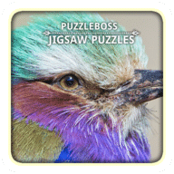 Bold Birds Jigsaw Puzzle...