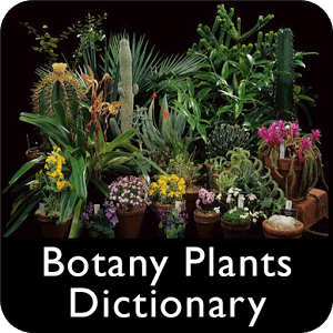 Botany Plants Dictionary