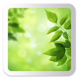 Leaves - Bokeh Live Wallpaper