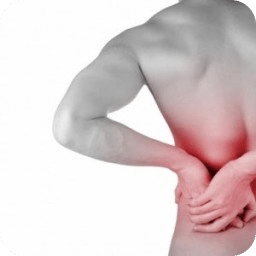 Back Pain Relief Guide