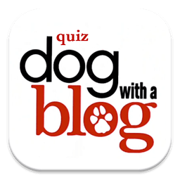 Quiz Dog with a Blog Cha...