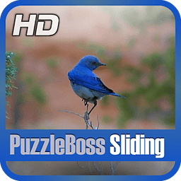 Bold Bird Slide Puzzle G...