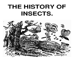 昆虫的历史