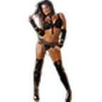 Lita Wrestler Widget