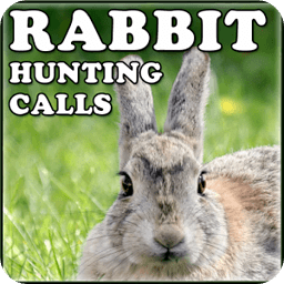 Rabbit Hunting Calls