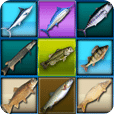 i Fishing Slots