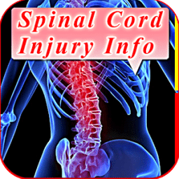 Spinal Cord Injury Info