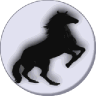 Black Horse