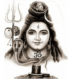 Lord Shiva, UFC group