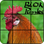 BLOK Puzzles