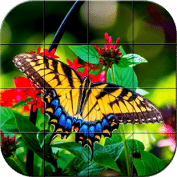 Butterflies Puzzle