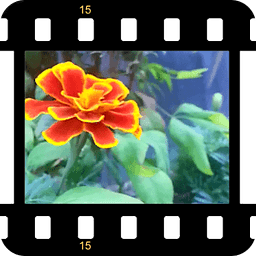 3D Garden Live Wallpaper Free