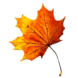 3D Autumn Live Wallpaper