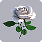 3D Roses Live Wallpaper