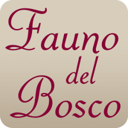 Fauno del Bosco