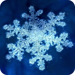 Snowflake LWP