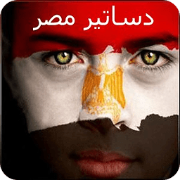 دستور مصر 2013