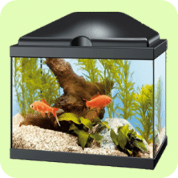 Fish Aquarium Fundas