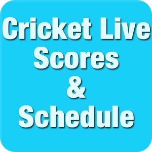 Ashes 2013 Live Cricket Scores