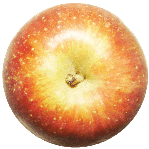Cut the apples free 切蘋果