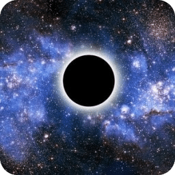 Black Holes