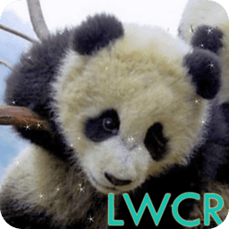 熊猫宝宝的LWP