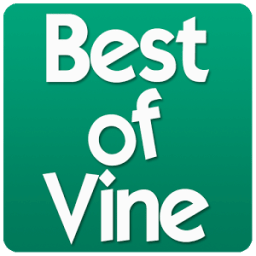 Best of Vine