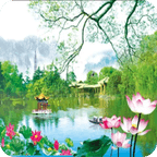 Lotus Pond 3D Live Wallpaper