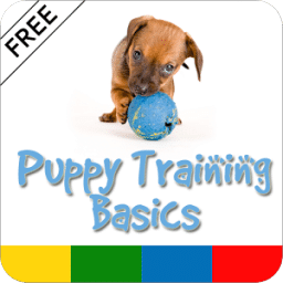 Puppy Training Basics