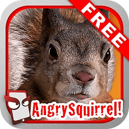 Angry Squirrel Free!
