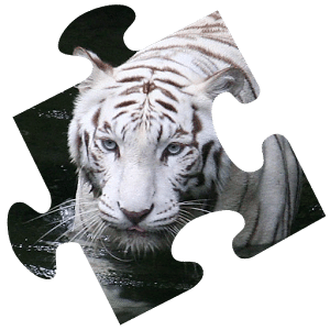 YAGS Jigsaw: Wild Animals