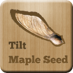 Tilt Maple Seed