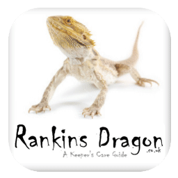 Rankins Dragon Mobile