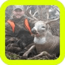 Deer Big Hunting