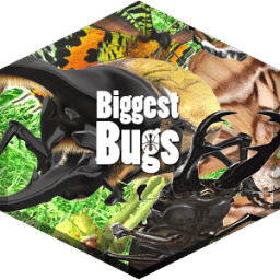 Biggest_Bugs_free